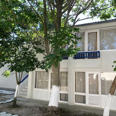 Bungalowri Exotic Костинешти